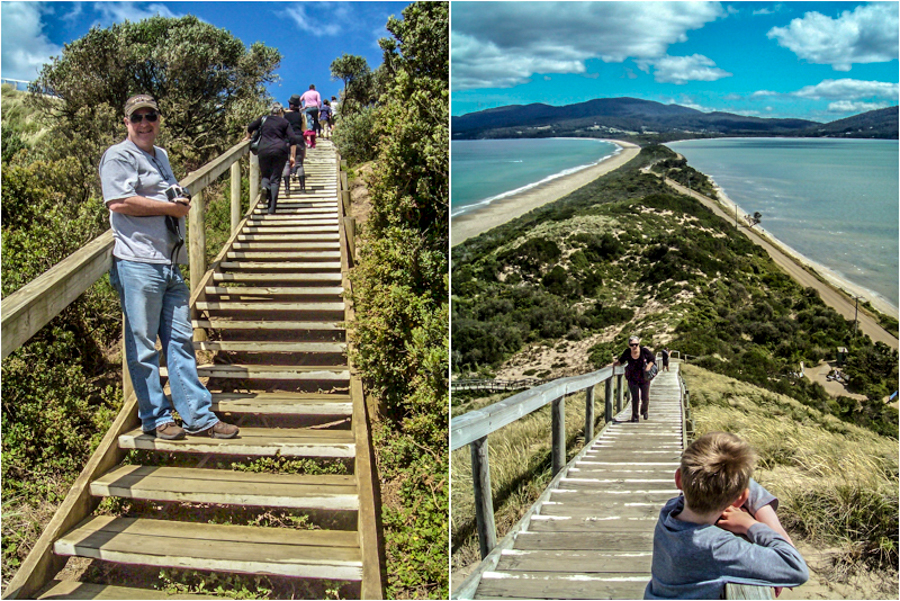 Bruny Island Neck Game Reserve