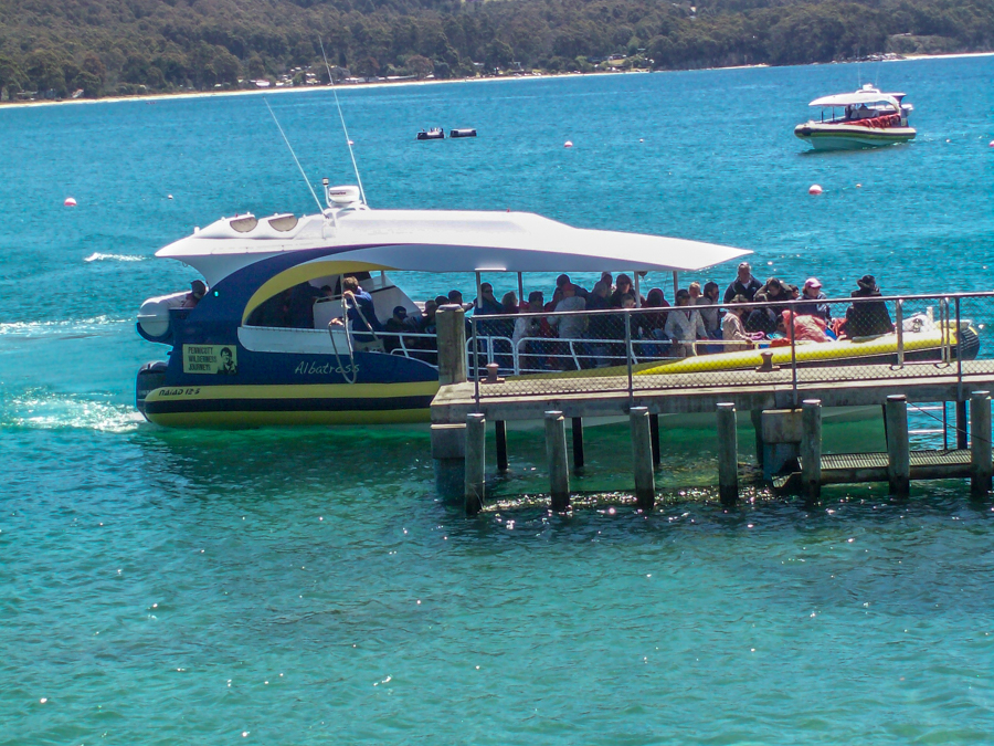 Bruny Island Cruises 3 Hour Wilderness Cruise