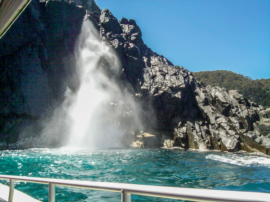 Bruny Island Cruises 3 Hour Wilderness Cruise